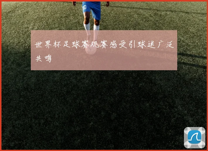 世界杯足球赛观赛感受引球迷广泛共鸣