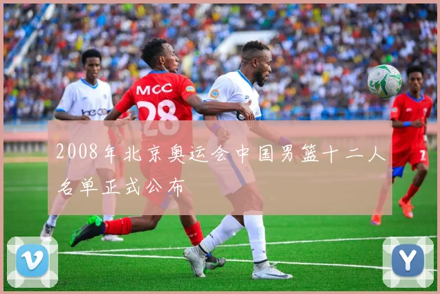 2008年北京奥运会中国男篮十二人名单正式公布