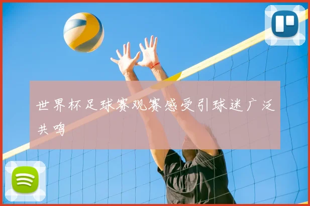世界杯足球赛观赛感受引球迷广泛共鸣